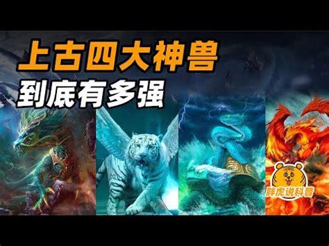 四神獸功效|【中國四大神獸】揭密古代中國的鎮守神獸：四大神獸。